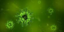 Croatia reports 144 new cases of the coronavirus