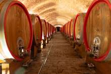 Wine Tourism in Slavonia and Baranja: Interest Surpassing Capacities