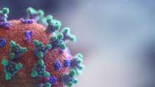 Coronavirus
