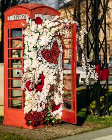 Romantic Vinkovci: Roses, London Phone Box in Europe's Oldest Town