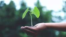 Sustainable Development Goals Increasingly Included in Company Reports