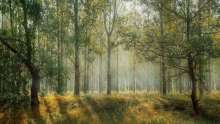 Association: Forest Management Company Manipulating Citizens and EU Institutions