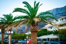 Makarska Riviera Private Accommodation Owners Look Towards Season