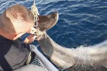 Split Policemen Rescue Tangled Dolphin Near Ciovo (PHOTOS)