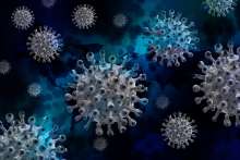 Croatia Registers 375 New Coronavirus Cases, 10 COVID-Related Deaths