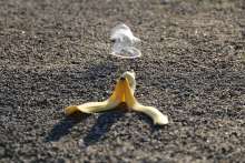 Programme Against Food Waste to be Implemented in Osijek Schools