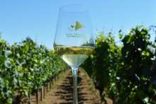 One Minute Ludbreg: Meet the Winemakers - Strucic Winery