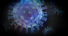 Croatia Logs 875 New Coronavirus Cases, 7 Deaths