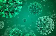 Croatia Registers 2,919 New Coronavirus Infections, 57 Deaths