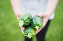 Ministry of Agriculture Gives Green Light: Vrgorac Farmers to Receive 300,000 HRK Next Year