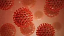 Croatia Registers 376 New Coronavirus Cases, 25 Deaths