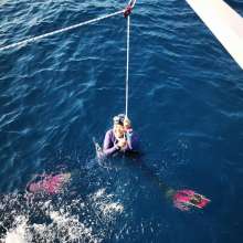 Croatian Diaspora: Venezuelan Iru Balic Breaks Freediving National Record!