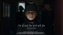 ‘I’m Afraid The Bird Will Die’: Watch the Captivating Short Film Set to J. R. August Song