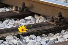 Welcome! Initiative Demands Justice for Migrant Girl Killed by Train
