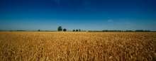 Petir: Agricultural Strategy Should Cover Status of Women in Rural Areas