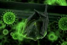 Croatia Logs 590 New Coronavirus Cases, Six Deaths