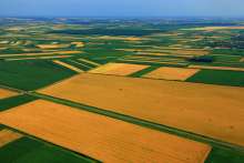 Average Farmland Rent €106 Per Hectare