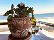 National Croatian Wine Day Celebrated in the USA