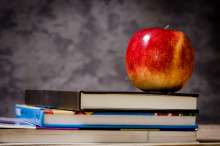 Only schools, Classes with Virus Outbreak Will be Closed, Says Daily