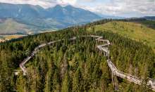 Walking Among the Treetops in Gorski Kotar May Soon Become a Reality