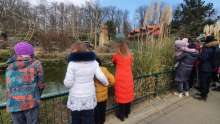 10,409 Ukrainian Refugees Have arrived in Croatia