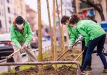 Greenpeace Activists Plant Trees in Downtown Zagreb