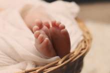 Novska Baby Boom? Families From Across Country Moving to Town