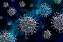 Croatia's Coronavirus Update: 1,654 New Cases, 8 Deaths, 1,606 Recoveries