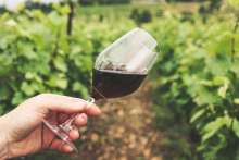 Wine Enthusiast Rates Croatian Wine as World Top with 99/100 Points