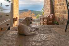 Natural, Luxury Lustica, Breaking the Montenegro Overbuilding Stereotype
