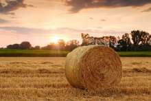 HRK 77m Earmarked From National Recovery Plan for Digitising Agriculture Sector