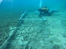7,000 Year-Old Preserved Road Found in Adriatic Sea Off Korcula