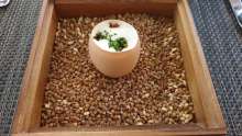 How to Feed a Michelin Star Restaurant Owner Visiting Zagreb?