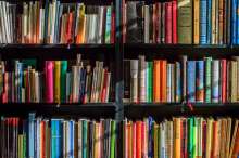 Croatia Donates 100 Books For New Egyptian Capital City