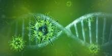 August 21, 2020 - Coronavirus