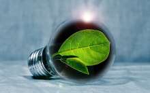 Green Energy Pal: FER Students Developing Personal Energy Consultant
