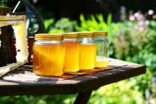 Honey Bottling Plant Opens in Vukovar