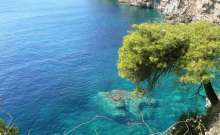 Fancy Breathing in Adriatic Sea Air Under That Mask? Here's How