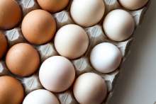 Eggs and Milk Producers to Receive 130 Million Kuna More From EU - Jutarnji List