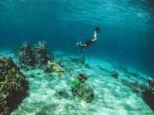 Underwater Exploration: Istria to Brand Destinations as Best Spots for Snorkeling