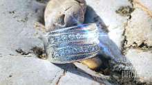 Valuable Ring Found in Ferry Port in Istria, Search for Owner Underway!